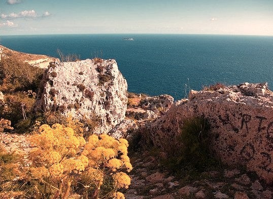 by albireo2006 on Flickr.View from a pathway in the Dingli Cliffs area on the South coast of Malta.