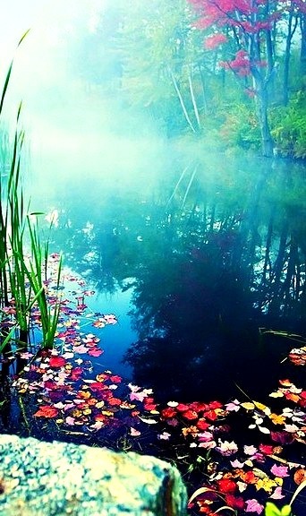 Misty Pond, Stowe, Vermont