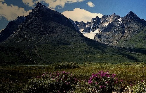Paradise in southern Greenland. Qinngua Valley