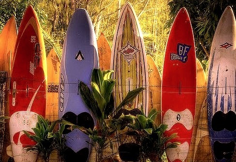 Fence made by surfboards in Maui Island, Hawaii, USA