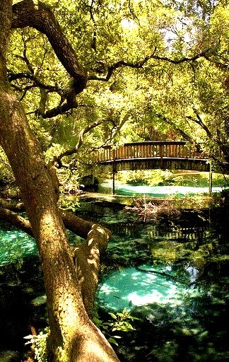 Fern Hammock Springs in Florida, USA