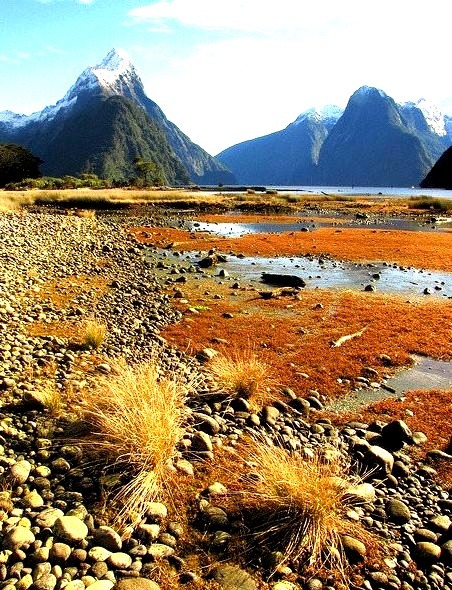 Low tide in Milford Sound, Fiordland, New Zealand