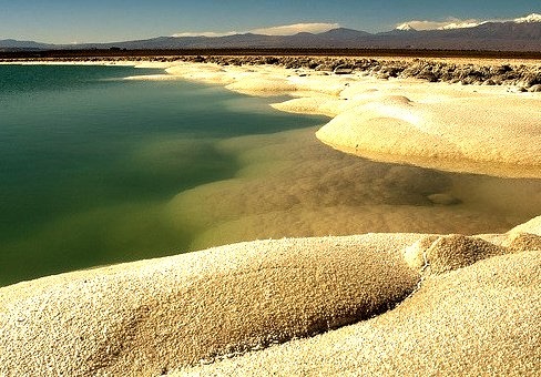 Salty shores of Laguna Cejar, Salar de Atacama, Chile