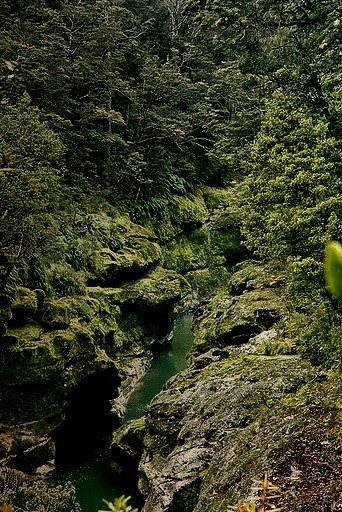 The Ngakawau River Gorge on the west coast of New Zealand