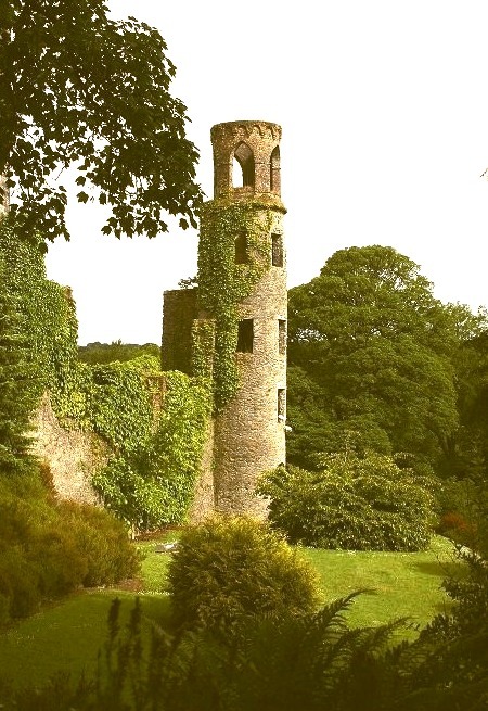 The ruined towers of Blarney Castle, Ireland