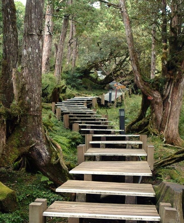Wooden trails in Taipingshan National Forest, Taiwan