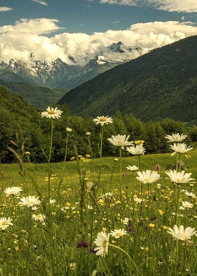 Summertime in the Caucasus, Svaneti / Georgia