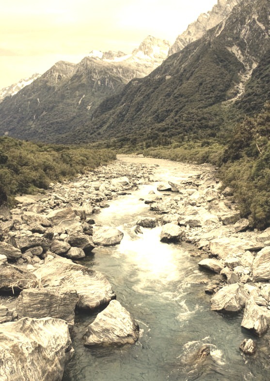 Copland River, Southern Alps / New Zealand